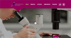 Desktop Screenshot of laboratoriosdeleste.com