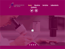 Tablet Screenshot of laboratoriosdeleste.com